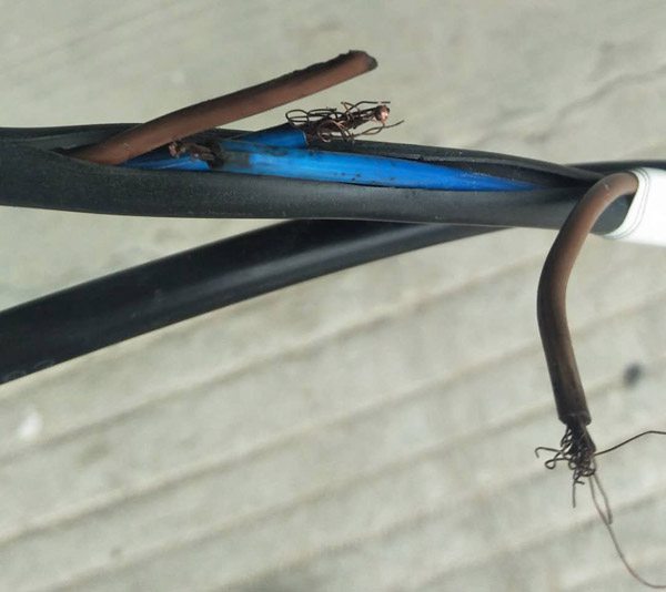 珠江電纜發(fā)黑